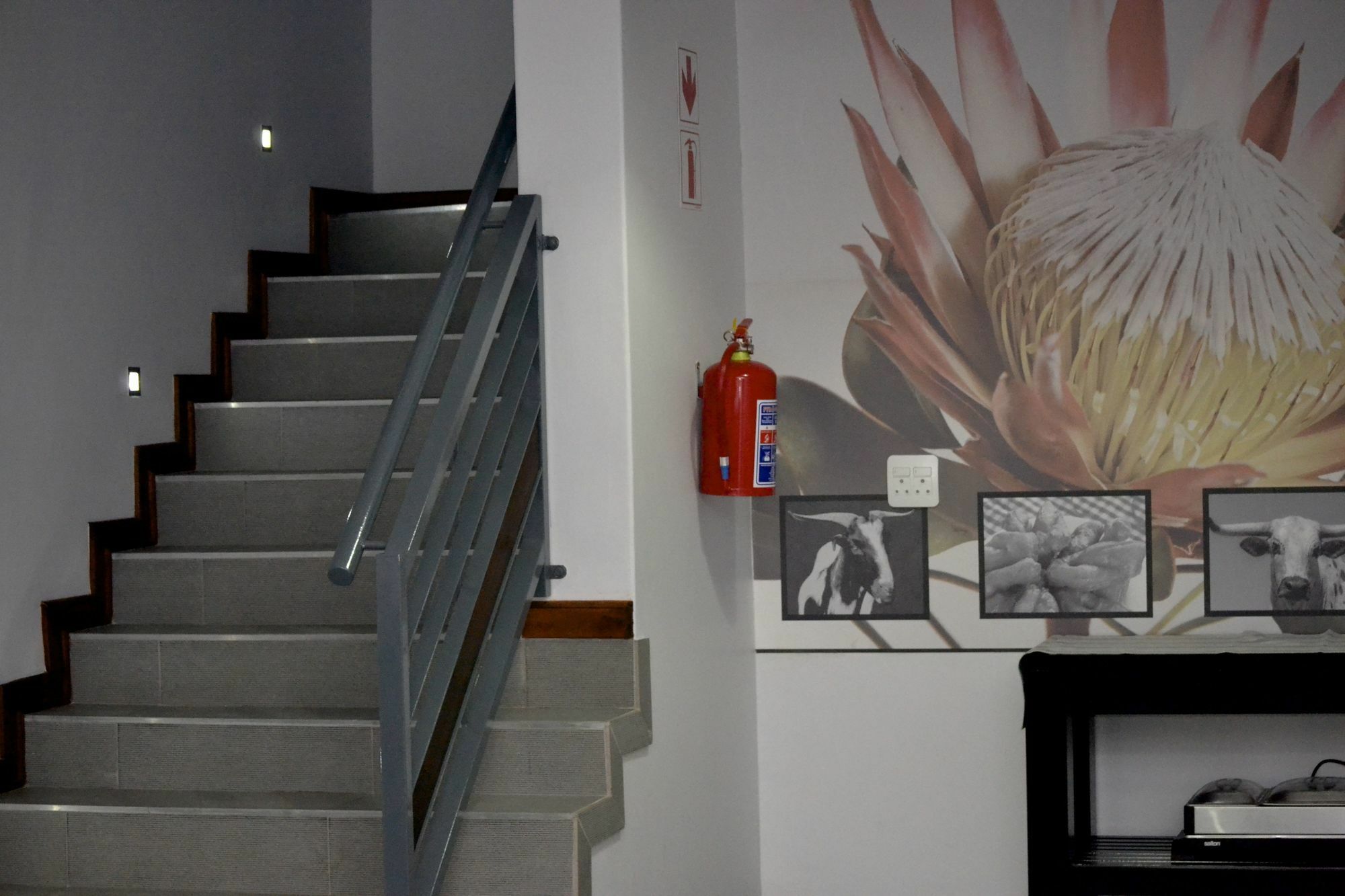Yalla Yalla Boutique Hotel Witbank Dış mekan fotoğraf